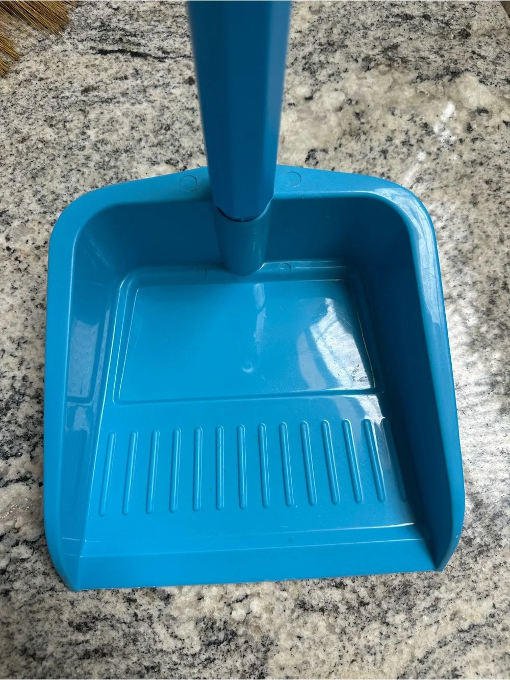 Bright Turquoise Handheld Dustpan with Handle